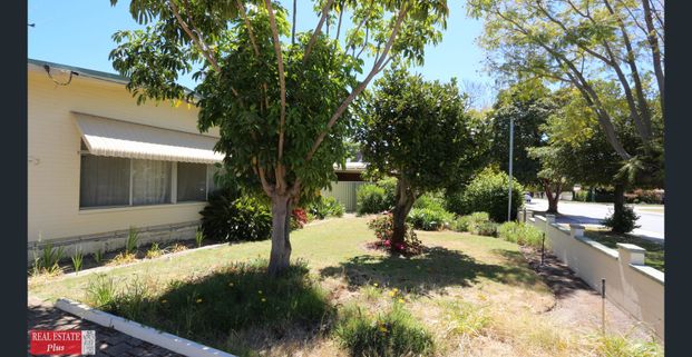 1960's Classic - Photo 1