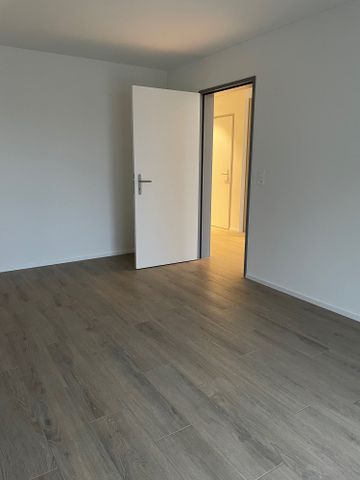 2.5 Zimmer, 55 m², 2. Stock - Photo 4