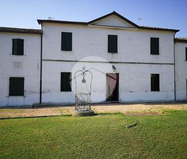 Trilocale in affitto - Photo 5