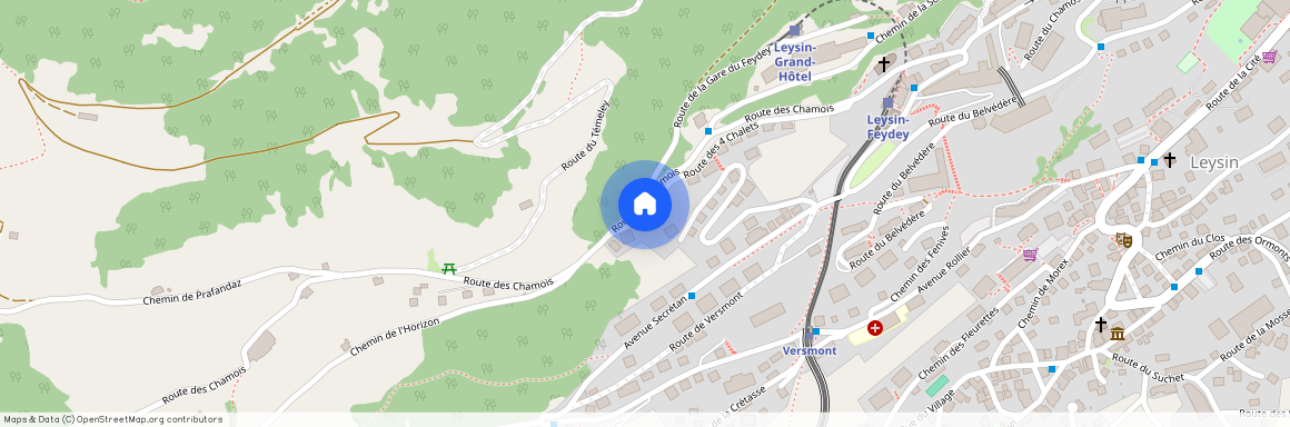 Route des 4 Chalets 17, 1854 Leysin