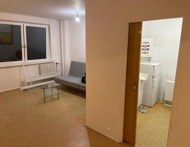 Mietwohnung - Foto 1