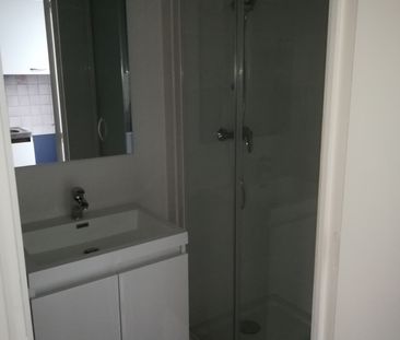 Location Appartement 1 pièce 19m² ANGERS 49100 - Photo 3