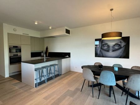 Luxueus appartement met 3 terrassen en ondergrondse parkeerplaats - Photo 5