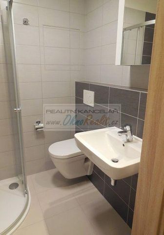 Pronájem bytu 1+kk 30 m2 - Fotografie 3