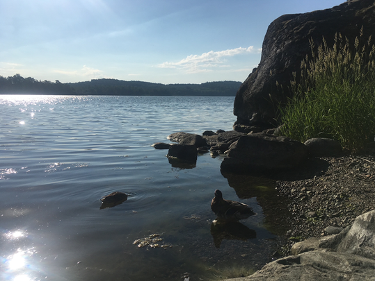 Badvägen, Södertälje - Foto 1