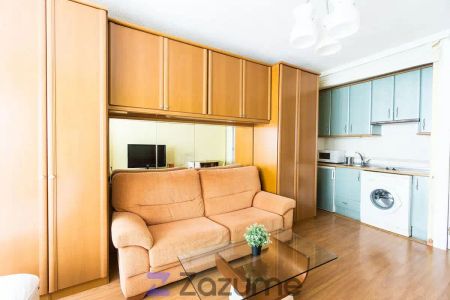 Estudio de alquiler en Av. de Los Manantiales, Manantiales - Estación de Autobuses - Photo 4