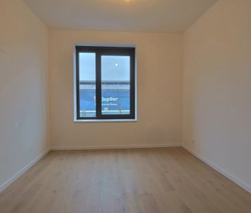 Appartement te huur in Beveren-Kruibeke-Zwijndrecht met 2 slaapkamers - foto 1