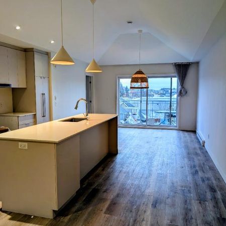 Magnifique 4 1/2 disponible maintenant 1300 pieds carrés - Photo 4