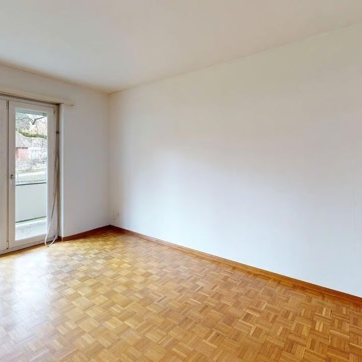 3 Zimmer, 65 m², EG - Foto 1