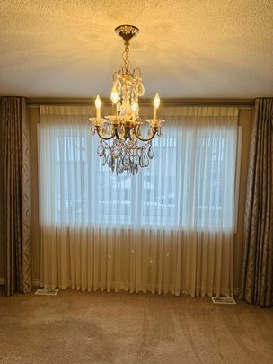 For Lease - 4 Hackett Street, New Tecumseth, Ontario - Photo 1