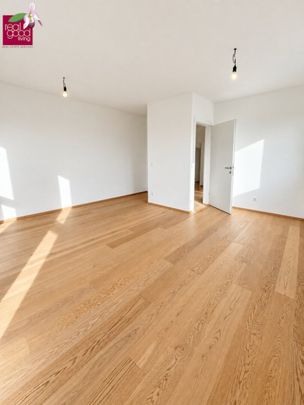 Modernes Doppelhaus in Niedrigenergiebauweise – Grünruhelage nahe Mühlwasser + KFZ-Stellplatz direkt beim Haus - Foto 1