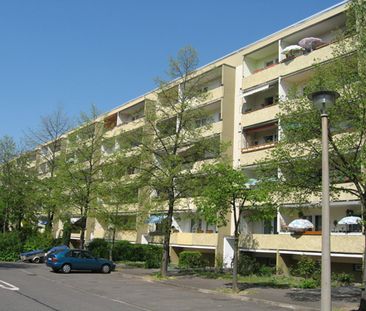 Wohnung mit separater Küche – Singleküche mit Waschmaschine vorhanden! - Photo 2