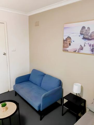 45 Phelps St, Sydney - Photo 3