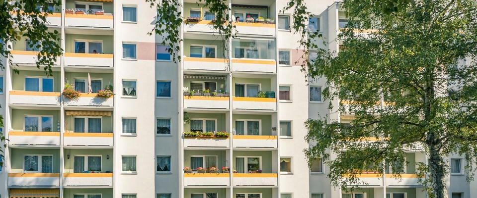 Geräumige 2-Raum-Wohnung mit offener Küche - Foto 1