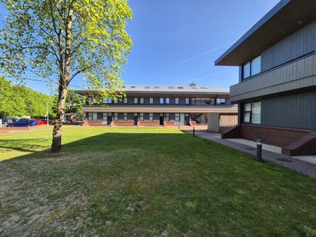 1 bedroom ground floor maisonette to rent - Photo 4