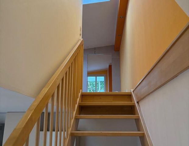 4 Raum Wohnung in Caputh Warmmiete WLAN KLIMA inklusive - Photo 1