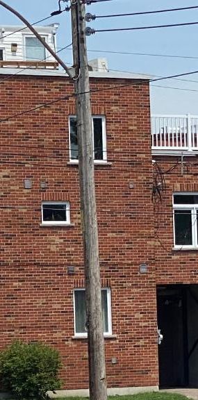 3 1/2 - Montréal (Mercier) - 1 969 $/mois - Photo 1