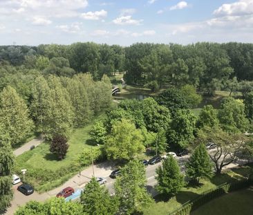 Idealne mieszkanie,2 pok, Żoliborz, Kępa Potocka - Photo 6