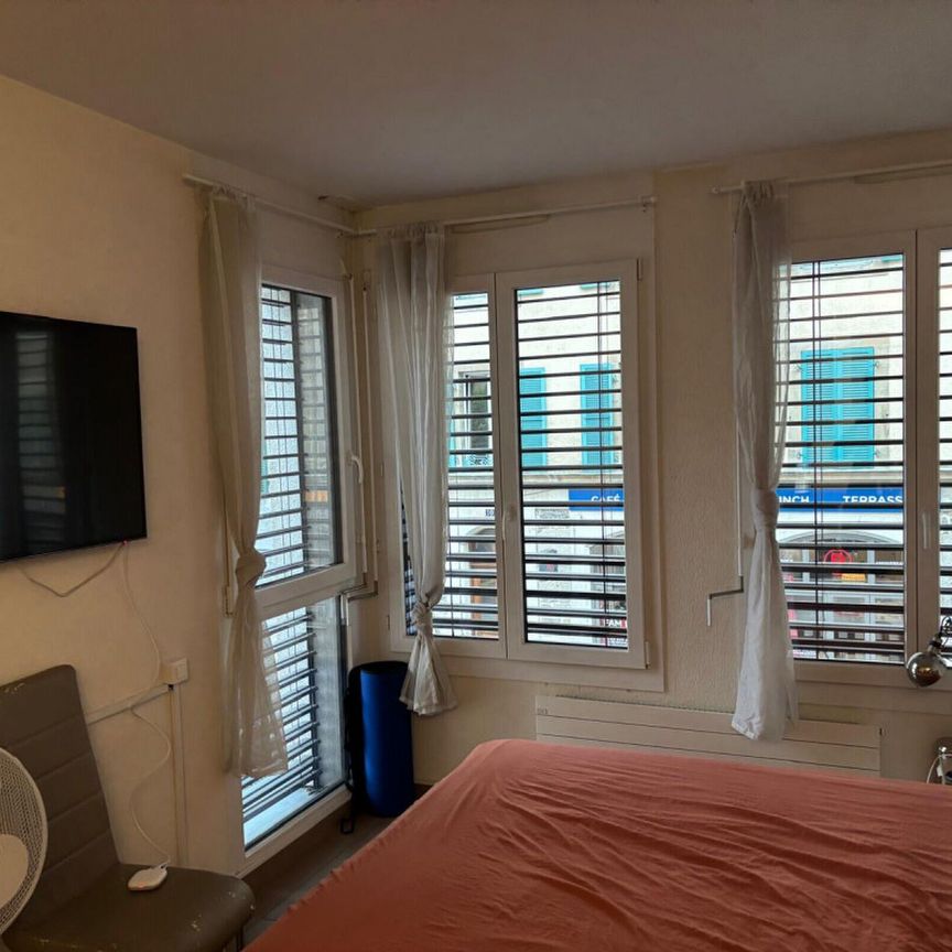 Pleasant furnished studio in the Plainpalais/HUG Hospitals area - Foto 1
