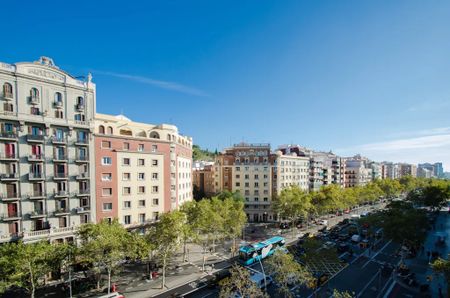 Gran Via de les Corts Catalanes, Barcelona, Catalonia 08014 - Photo 2