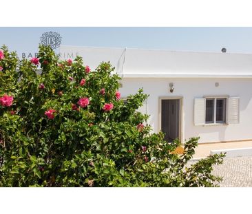 Moradia T3 em Faro - Photo 4