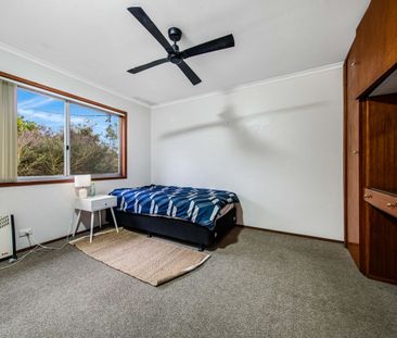 CLOSE TO EVERYTHING - Photo 4