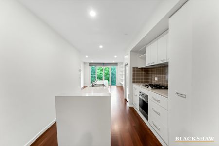 8 Bluebell Street, O'Connor ACT 2602 - House For Rent | Domain - Photo 3
