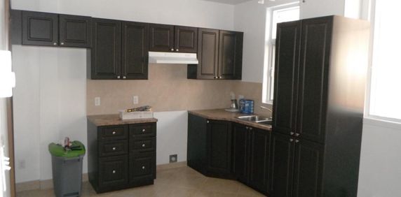 Beau logement près de l petite Italie - Photo 2