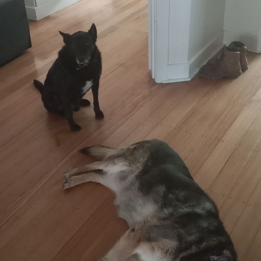 Box Hill South - Photo 1