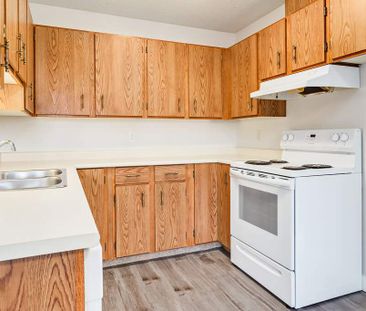 Renovated Suite - 2 Bedroom - Photo 6