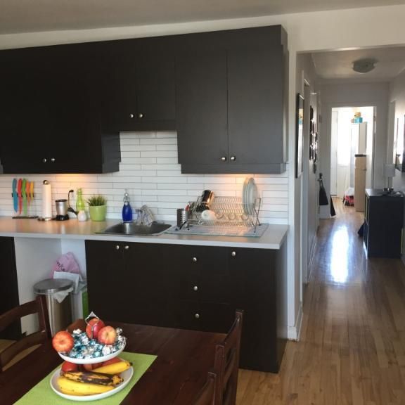 5 1/2 - Montréal (Hochelaga / Maisonneuve) - 1 700 $/mois - Photo 1