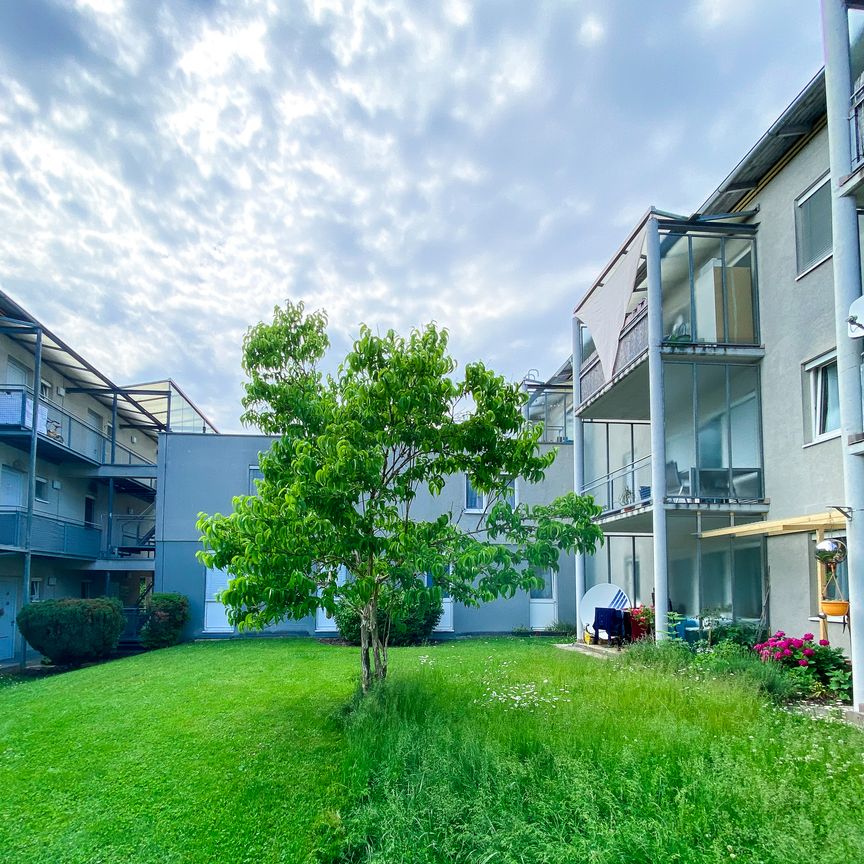 4311 Schwertberg, Haydnstraße 14/20 - Photo 2