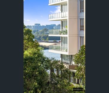 Stunning Studio with Park Views! - Photo 5