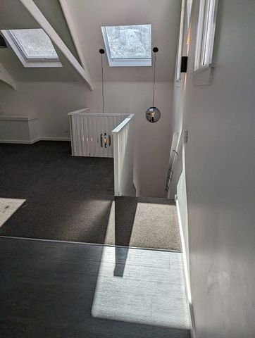 Aro Valley: Modern duplex within renovated church - Photo 5