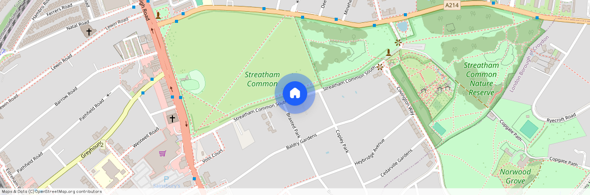 Streatham Common South, London SW16