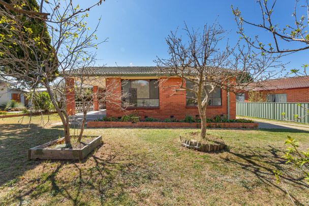 126 Goyder Street, Narrabundah ACT 2604 - House For Rent - $1,000 | Domain - Photo 1