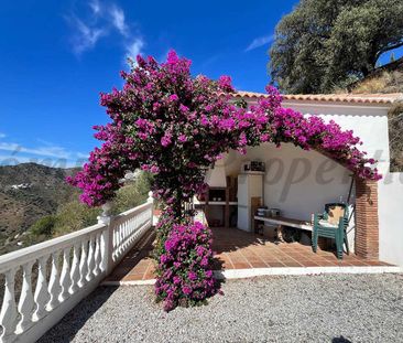 Country Property in Árchez, Inland Andalucia at the foot of the mou... - Photo 3