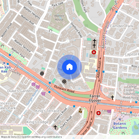 1B Shelford Road, D11, 288535, Singapore