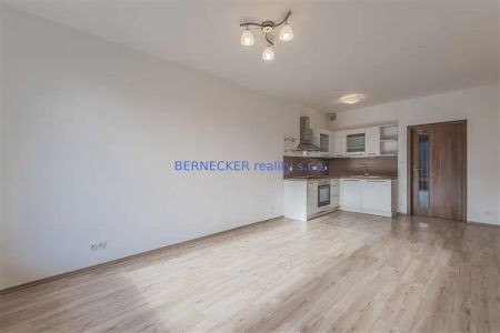 Byt 1+kk s parkovacím stáním, novostavba, pronájem - Fotografie 2