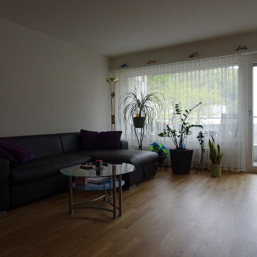 3.5 Zimmer, 64 m², 1. Stock - Foto 1