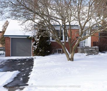 Detached Home For Lease | N8075354 - Photo 6