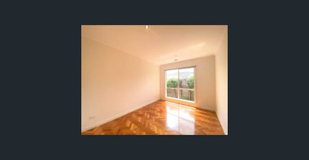 Light-filled Living in a Quiet, Convenient Pocket - Photo 3