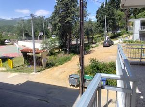 Studio/Γκαρσονιέρα για ενοικίαση - Βέροια, - Photo 5