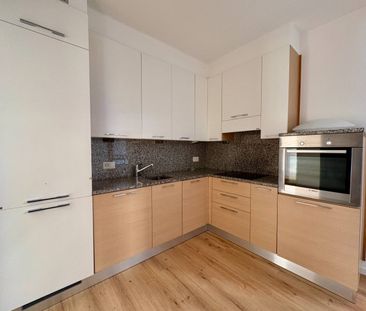 Appartamento in Affitto a Lugano - Photo 2