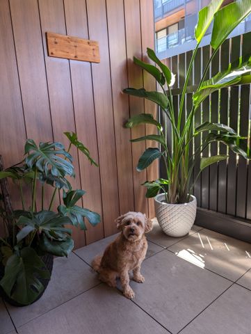 Brunswick East - Photo 5