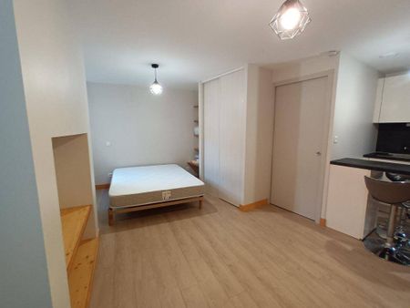 Location appartement studio 1 pièce 19 m² à Mende (48000) - Photo 2