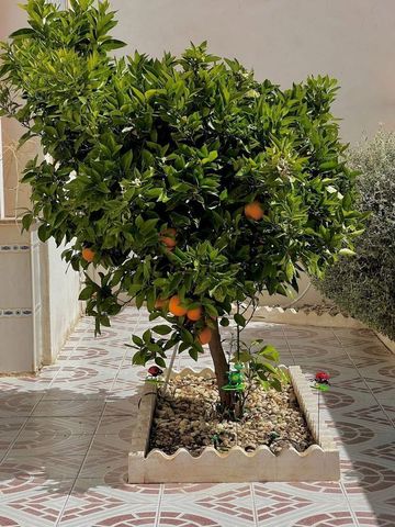 Alquiler de chalet adosado en Calle Cesar Rodriguez Mateo, 152 - Photo 3