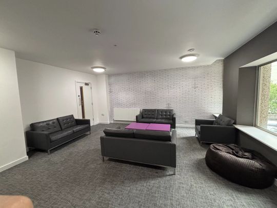 Standard Studio - Photo 1