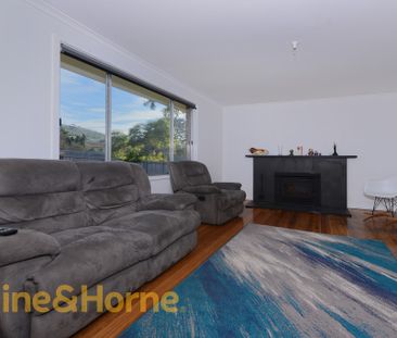 Sunny Three Bedroom Home! - Photo 3