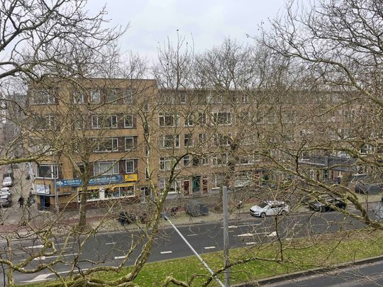 Dordtselaan, 3073 GW, Rotterdam - Foto 1